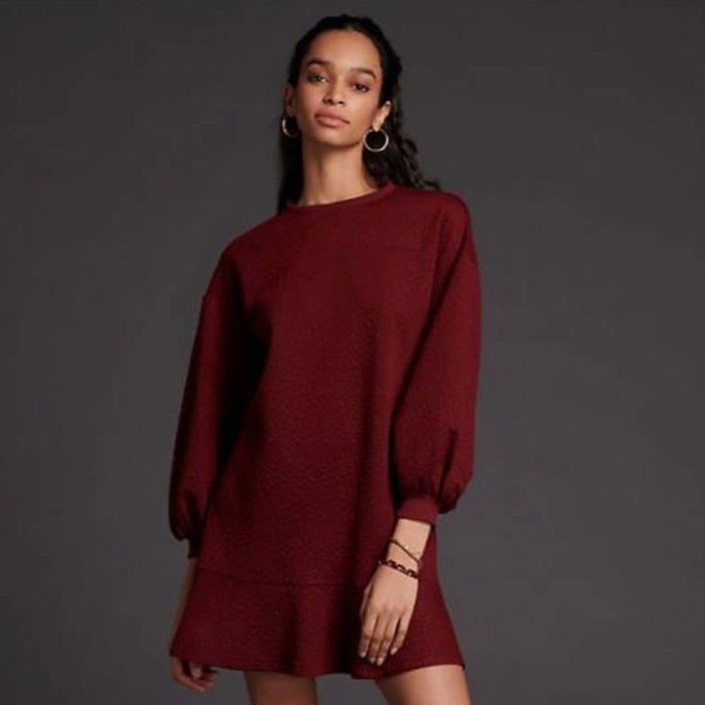 Anthropologie Odila Tunic Dress - Size S (NWT)